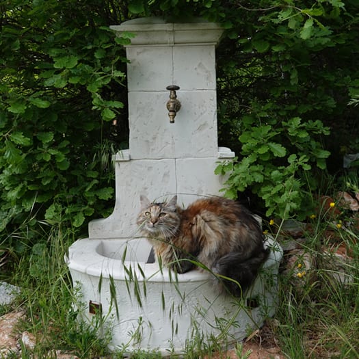 Fontaine Venise